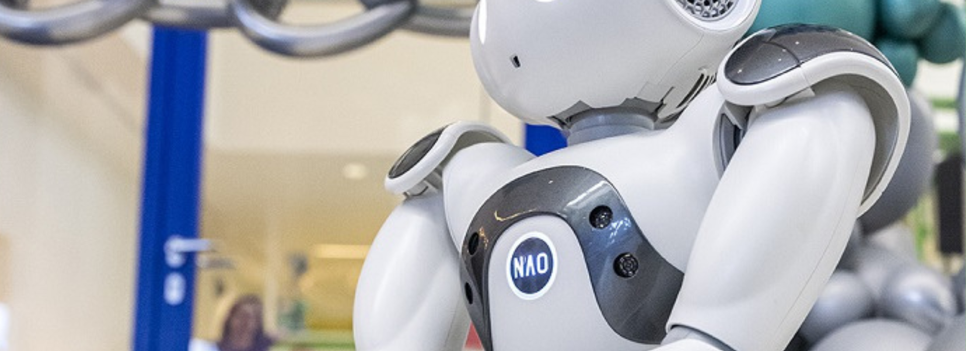 Robotje NAO
