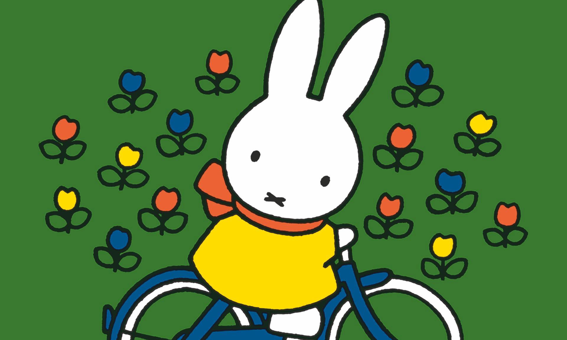 Foto bij nijntje op de fiets - Klein Amsterdam Producties (2 t/m 5 jaar)