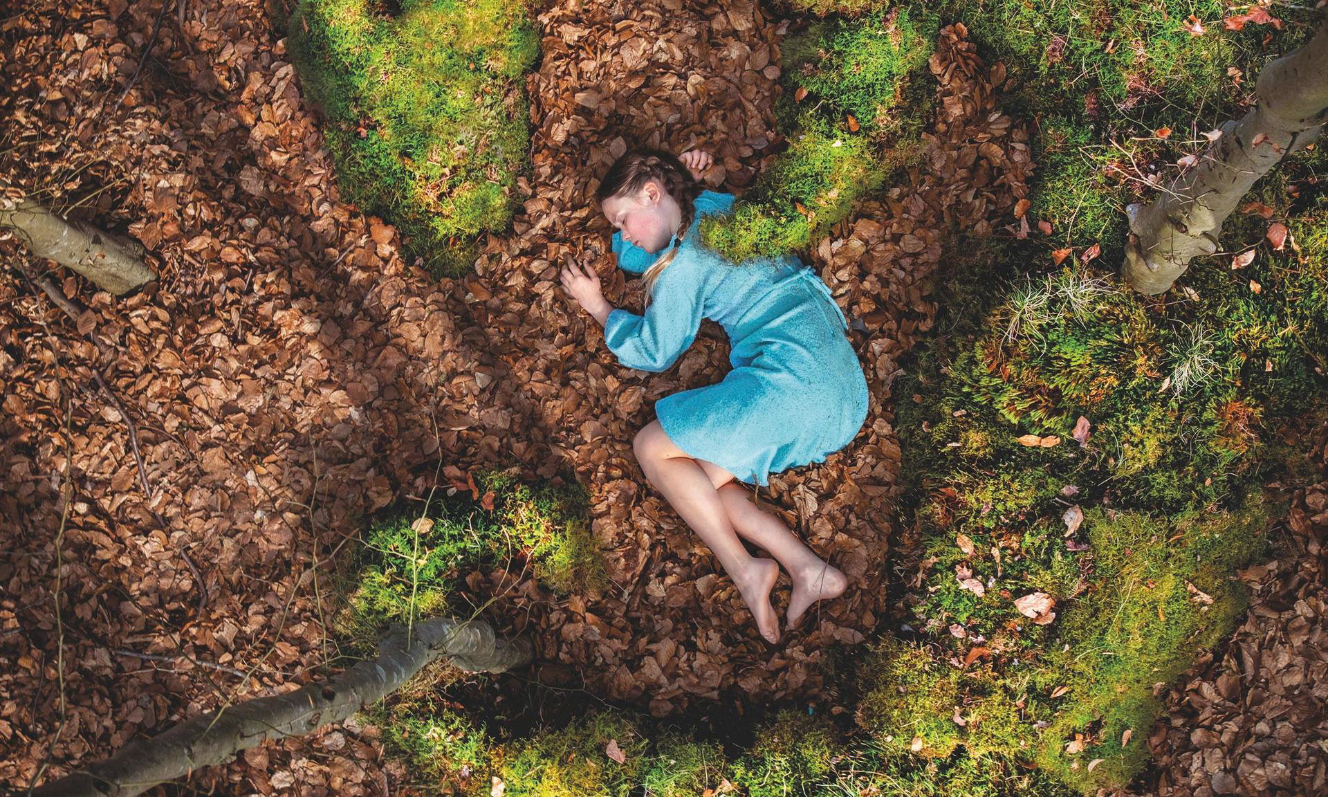 Het Houten Huis & Nordland Visual Theatre, Tryater en Club Guy & Roni - Grondtonen (9+)