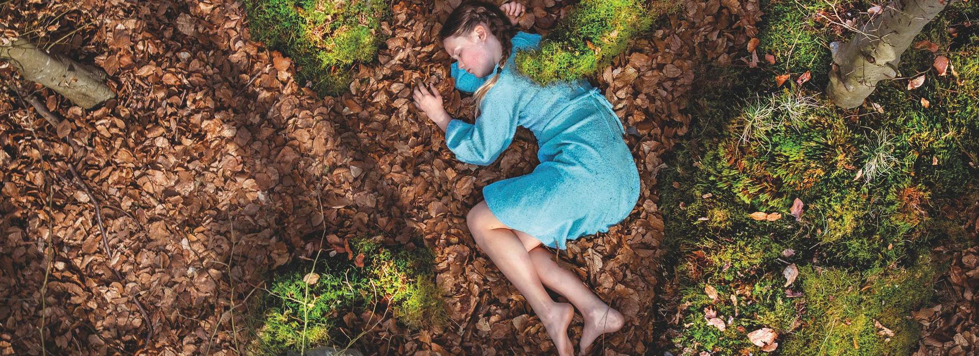 Het Houten Huis & Nordland Visual Theatre, Tryater en Club Guy & Roni Grondtonen