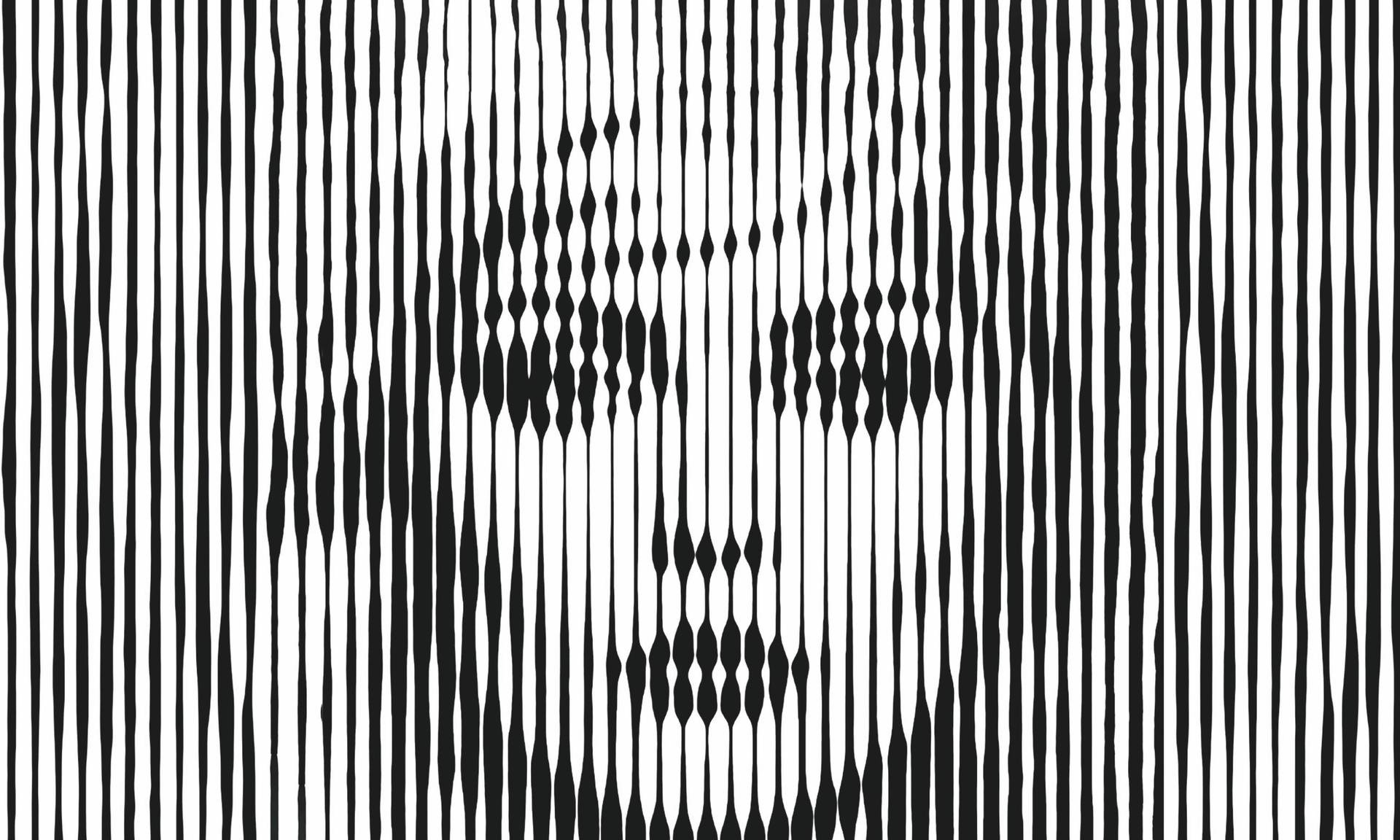 The Blondie Story - Reine Beau Anderson Dudley & The Night Owl Band
