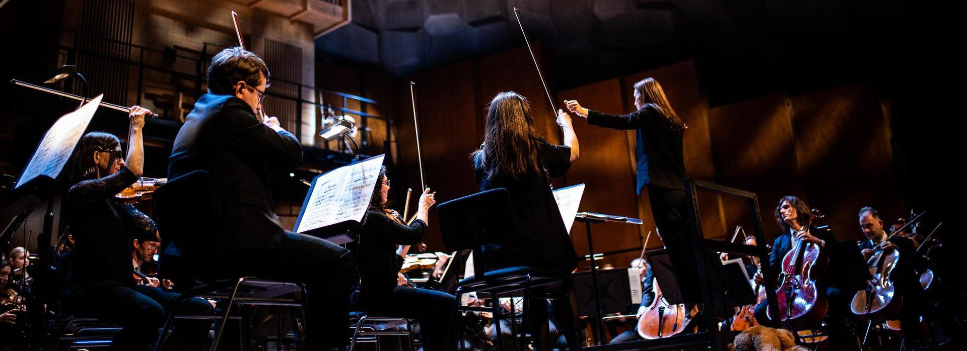 Noord Nederlands Orkest- Nieuwjaarsconcert